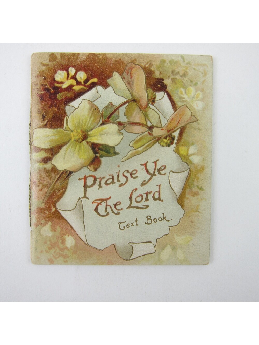 Victorian Child's Picture Prayer Book Praise Ye The Lord Raphael Tuck Antique